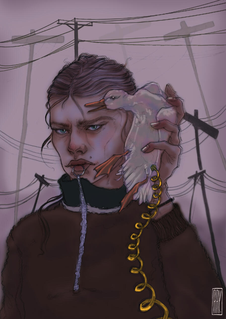 The duck and the mallard